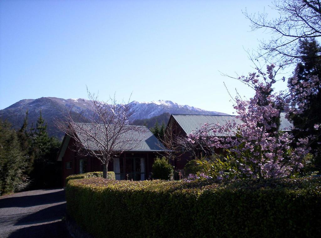 האנמר ספרינגס Forest Peak Motel מראה חיצוני תמונה
